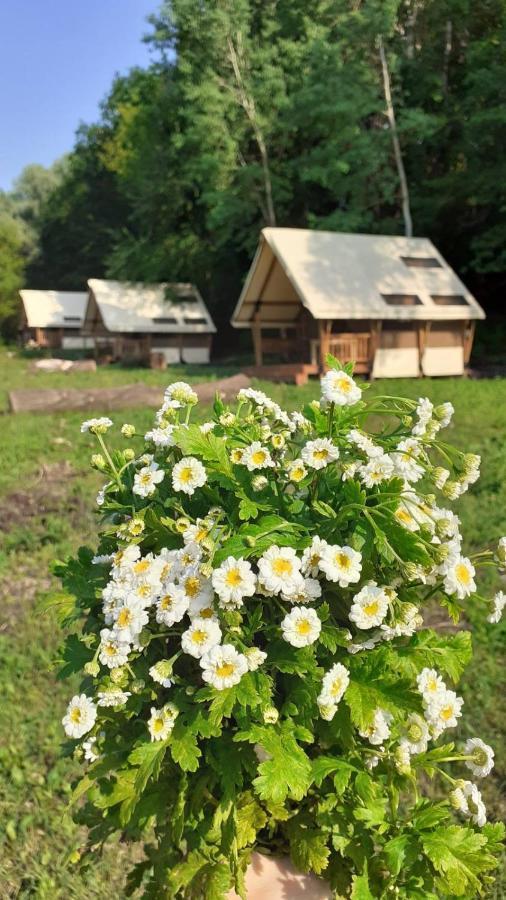 Глемпінг Шатро Hotel Ul'yaniki Екстериор снимка